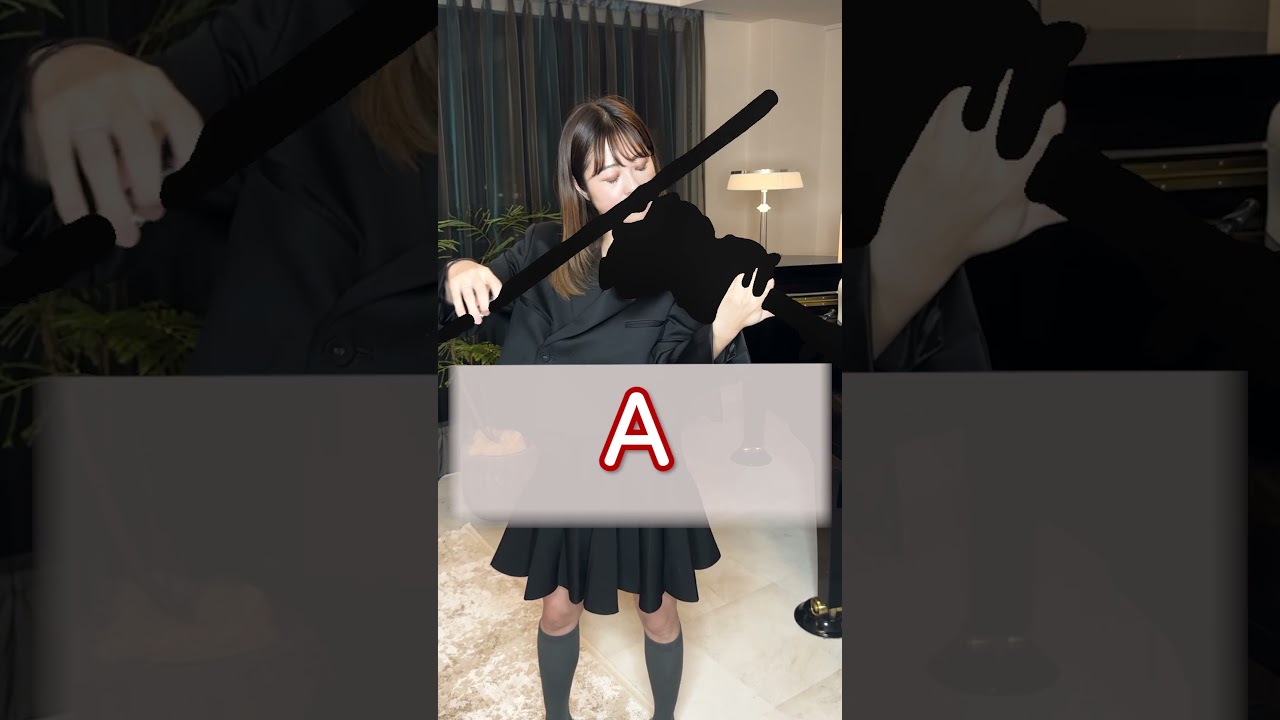 【格付けチェック】実演！高級バイオリンvs激安バイオリン【part2】#violin