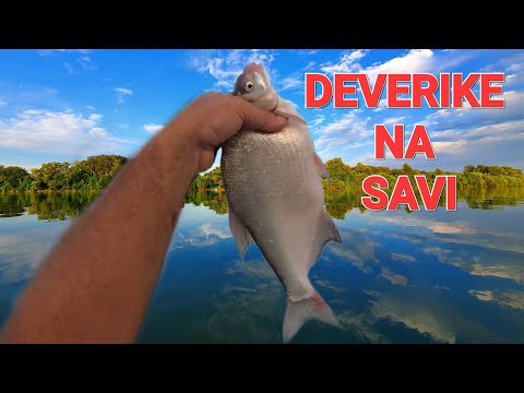 FEEDER DEVERIKE I SAVA - Stara skola protiv Nove skole