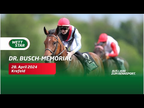 The Great Online Banking Award - Dr. Busch Memorial