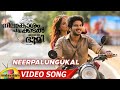 NPCB Movie Full Songs Neerpalungukal Song Neelakasham Pachakadal Chuvanna Bhoomi