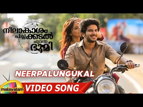 download lagu mp3 mp4 Neelakasham Pachakadal Chuvanna Bhoomi Songs Neerpalunkukal, download lagu Neelakasham Pachakadal Chuvanna Bhoomi Songs Neerpalunkukal gratis, unduh video klip Neelakasham Pachakadal Chuvanna Bhoomi Songs Neerpalunkukal