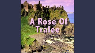 A Rose Of Tralee