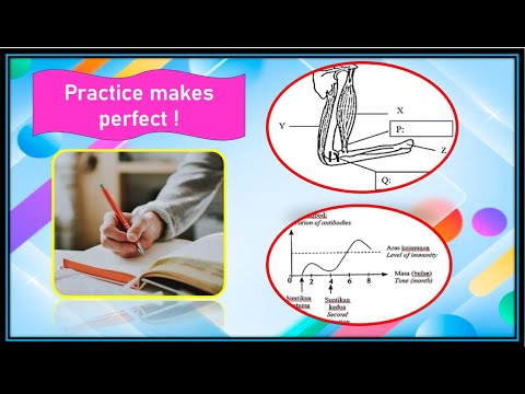 TEST: SUPPORT IN HUMANS (F4 C9), IMMUNITY , ANTIBODIES  (C11),  FOOD CHAIN, CMRR (F5 C9), RECYCLING