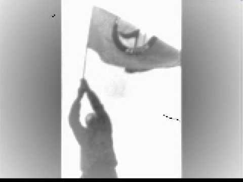 Terror Art - Rezista