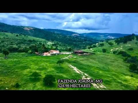 ✨️🌿 VENDE FAZENDA 524.98 HECTARES NA REGIÃO JOAIMA-MG 
