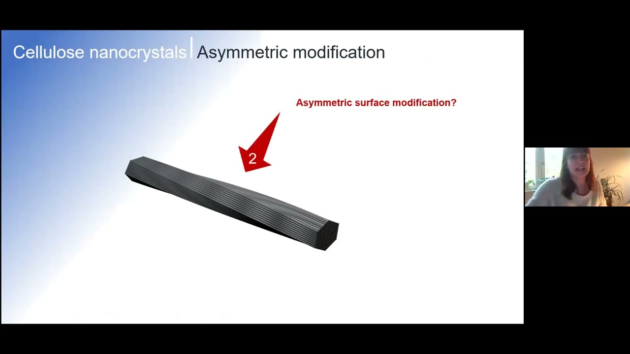 Asymmetric modifications of cellulose nanocrystals - concepts and challenges