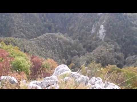 Cheile Carasului - Platoul Iabalcea