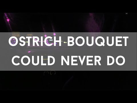 Ostrich Bouquet - Could Never Do