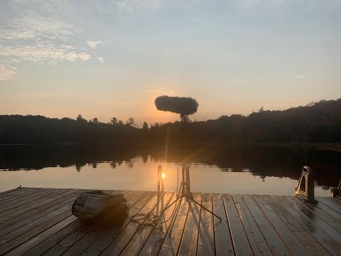 232   Field Recording Stories