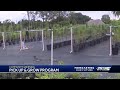 Community Greening