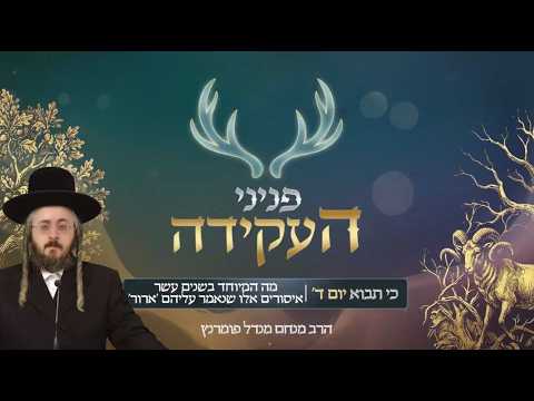 פניני העקידה - יום ד' כי תבא