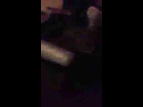 Rodica Olariu - Te-as ierta live la Restaurant Lepa Brena Timisoara decembrie 2013