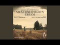 How Many More Of These Feat The Dahlkvist Quartet Henrik Måwe Anna Von Hausswolff