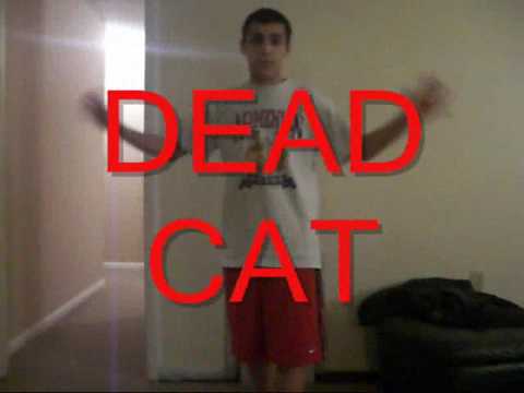 JERSEY SHORE: The Ultimate Guido