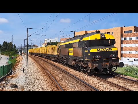 Comboio de transporte de madeira nº 83130 | Travagem