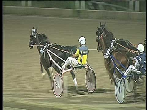 Trotto 08/07/2017 - 6ª corsa