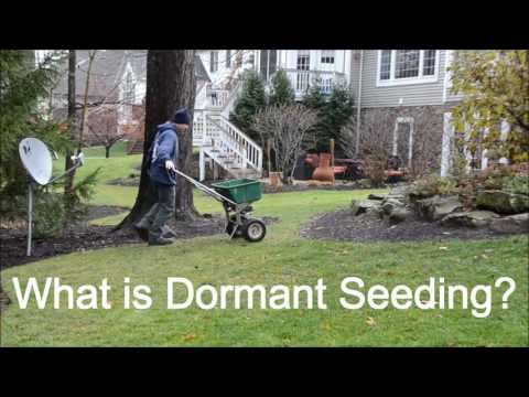 Dormant Seeding