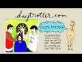 The High Strung - Seems It's One Thing - Daytrotter Session