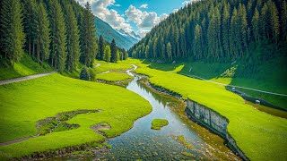 Great Relaxing Peaceful Music 🍀 Music Heals The Heart And Blood Vessels #2