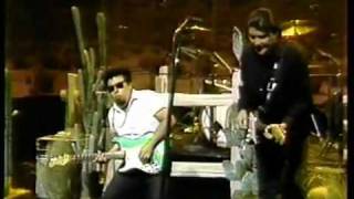 Los Lobos met 'La Bamba' (live)