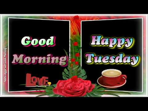 Happy Tuesday,Happy Tuesday Whatsapp Status Video,Happy Tuesday Status,Wishes,Greetings