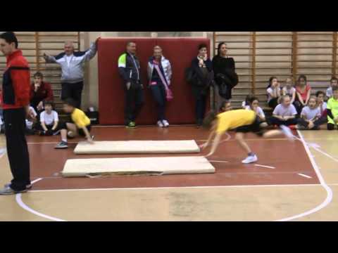 2015. február 4. - Megyei Játékos Sportverseny