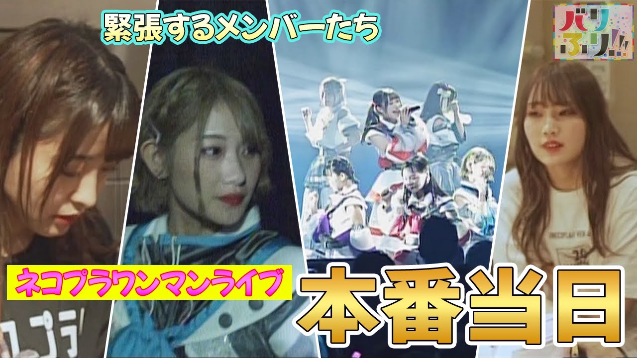 【ネコプラドキュメンタリー⑤】ついにワンマンライブ当日！隠しきれない緊張・・・ネコプラはライブを成功させることができるのか！？