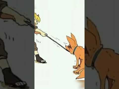 KURAMA's funny and cute pics