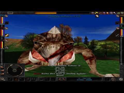 Wizardry 8 - 37: South East Wilderness