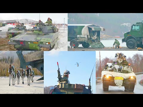 Exercise Cold Response 22 tests NATO Allies and partners