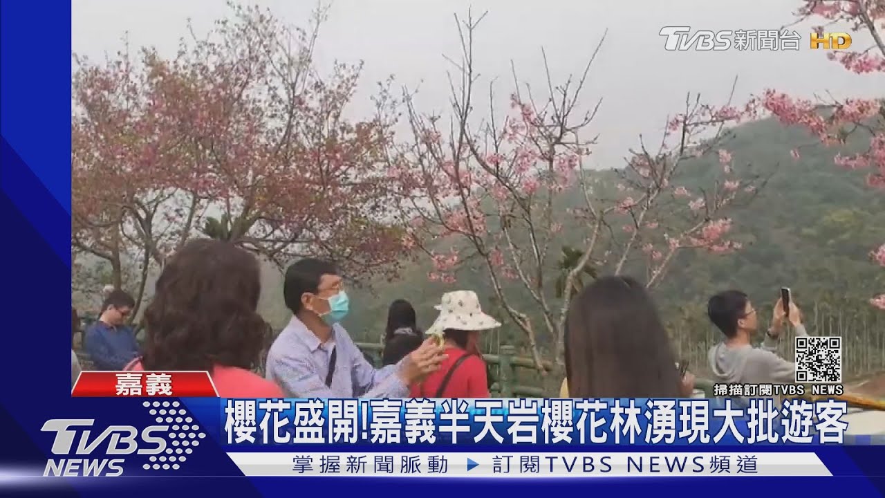 南台灣天氣晴!賞花、搭輕軌 遊客南下享受假期