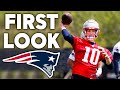 Drake Maye First Look at patriots practice - INSANE Arm