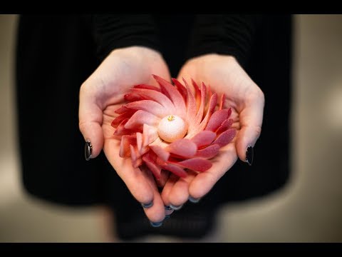 Tomric Systems - Customer Success Story