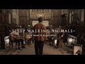 Wild Folk Live At St Augustine S Sleep Walking Animals