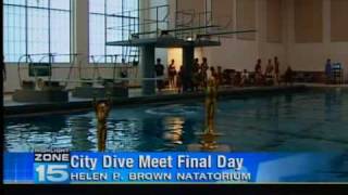 preview picture of video 'Arlington Park wins City Dive Meet'