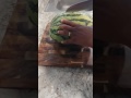 Watermelon Surprise