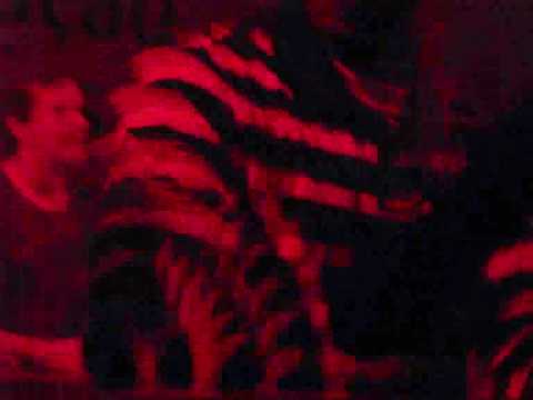 SAMBASONICS by Carla Adduci