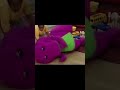 Rip Barney