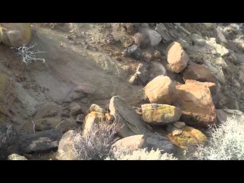 Searching for the Rim Fire Claim--12-05-14-Randy, Steve, Larry