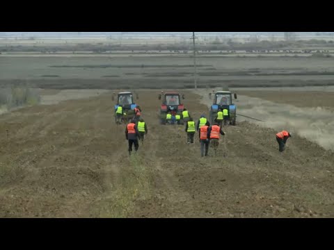 Валерия Бардо деодағы порно