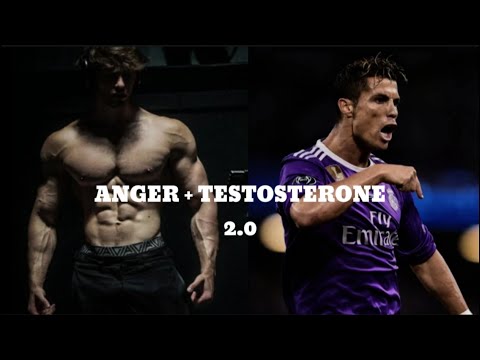 Anger + Testosterone  2.0  |  GYM MOTİVATİON 