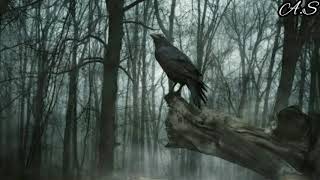 MAKE THEM WHEELS ROLL - SAFIA  [tradução PT-BR]