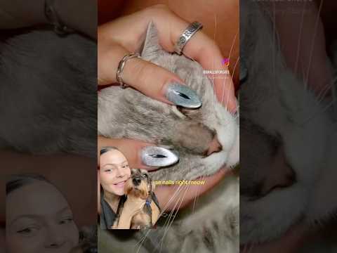 Cine zice că trendurile de pe TikTok sunt doar pentru pisicuțe? 🐾✨