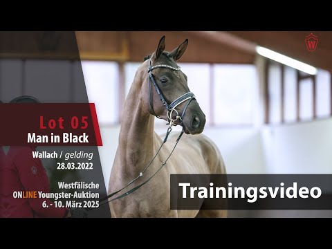 Youngster-Auktion Trainingsvideo Lot 05 Man in Black Wallach v. Morricone III - Don Index