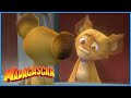 Alex Has A Clone DreamWorks Madagascar