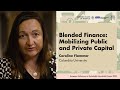 Blended Finance Mobilizing Public And Private Capital