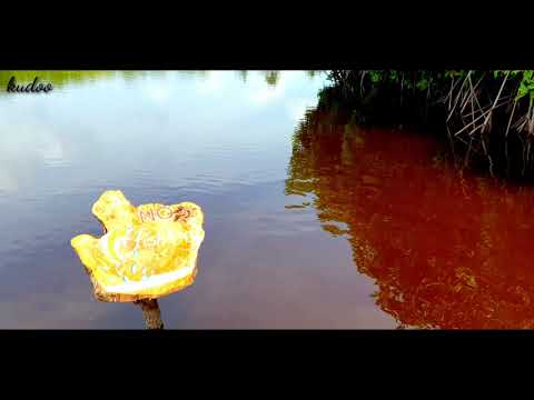 N.kendhikulhudhoo hinna Bridge