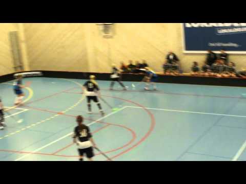 SM i Karlstad 2011 P15 - 8