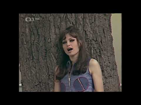 Za klobouk si vrásky dej - Olga Blechová