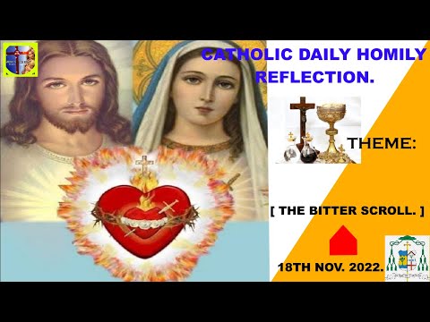 Catholic daily homily reflection for today [ THE BITTER SCROLL.]